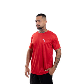 Camiseta Dry Fit Puma