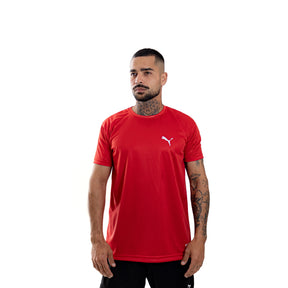 Camiseta Dry Fit Puma