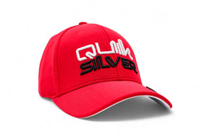 Boné Juvenil QuikSilver FlexFit Start